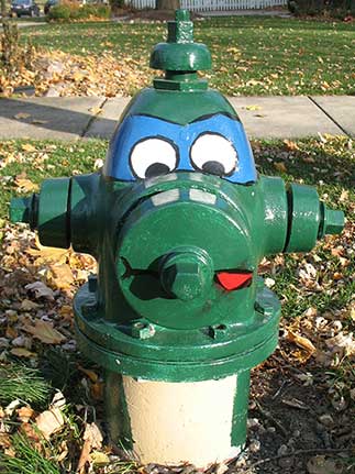 Ninja Turtle - Washington and Illinois